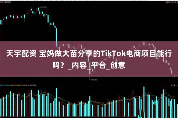 天宇配资 宝妈做大苗分享的TikTok电商项目能行吗？_内容_平台_创意
