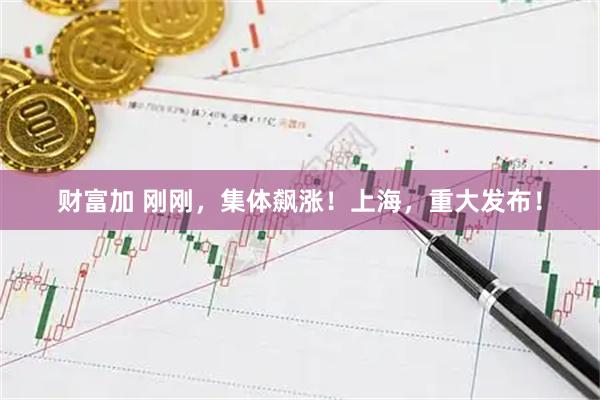 财富加 刚刚，集体飙涨！上海，重大发布！