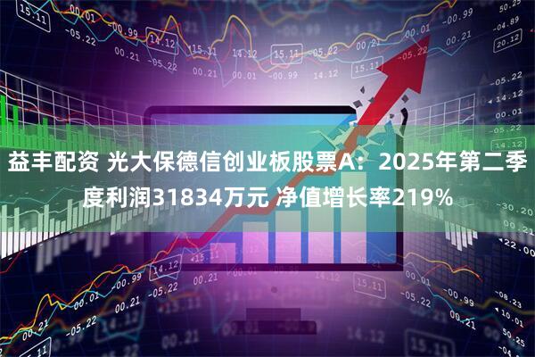 益丰配资 光大保德信创业板股票A：2025年第二季度利润31834万元 净值增长率219%