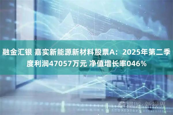 融金汇银 嘉实新能源新材料股票A：2025年第二季度利润47057万元 净值增长率046%