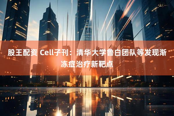 股王配资 Cell子刊：清华大学鲁白团队等发现渐冻症治疗新靶点