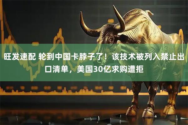旺发速配 轮到中国卡脖子了！该技术被列入禁止出口清单，美国30亿求购遭拒