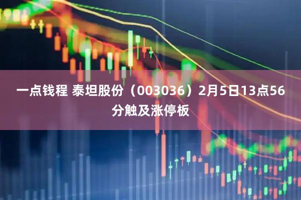 一点钱程 泰坦股份（003036）2月5日13点56分触及涨停板