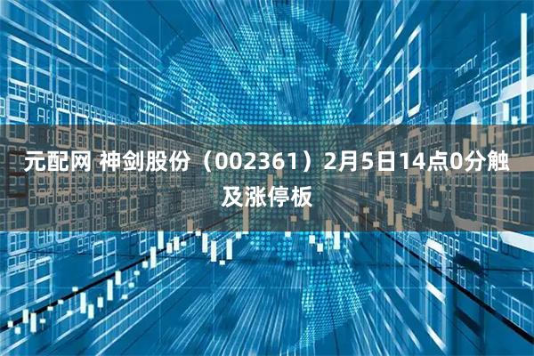 元配网 神剑股份（002361）2月5日14点0分触及涨停板