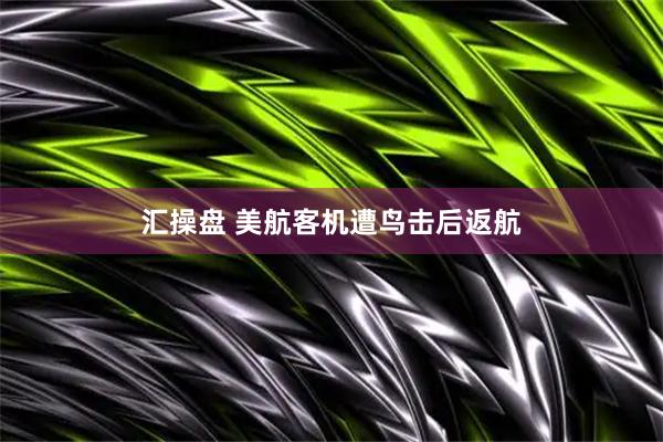 汇操盘 美航客机遭鸟击后返航